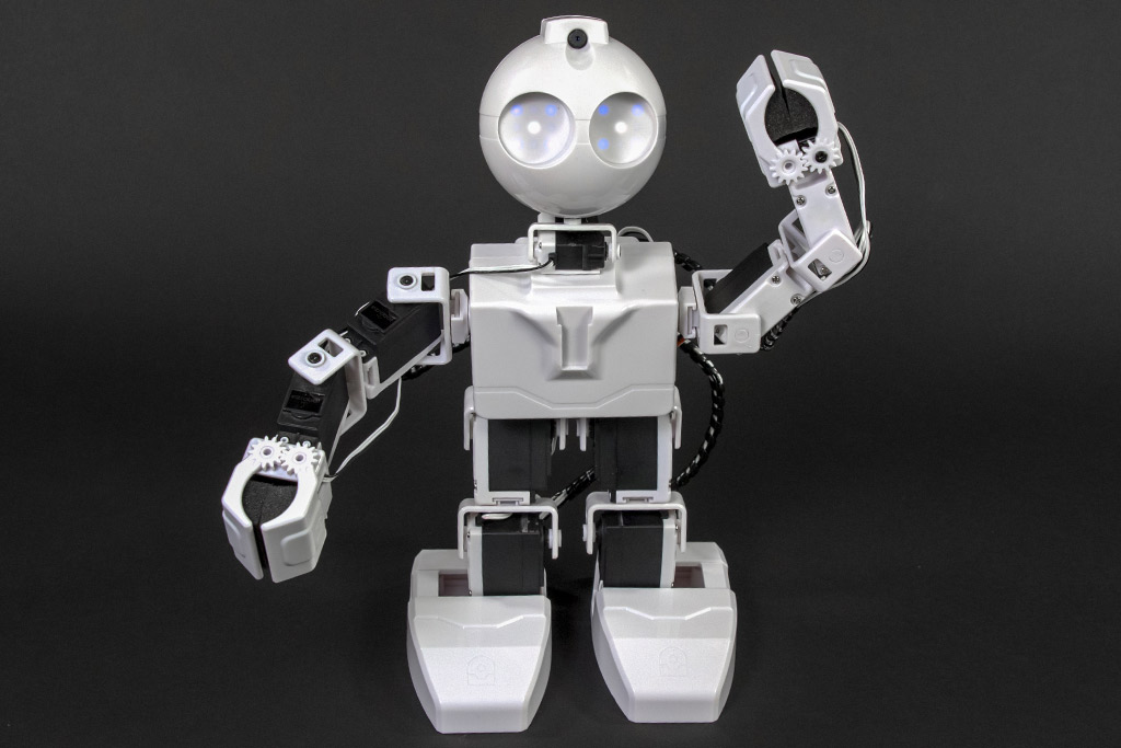 JD-Humanoid.jpg